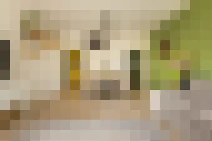 Het Hoogt 191 Amsterdam thumbnail 10