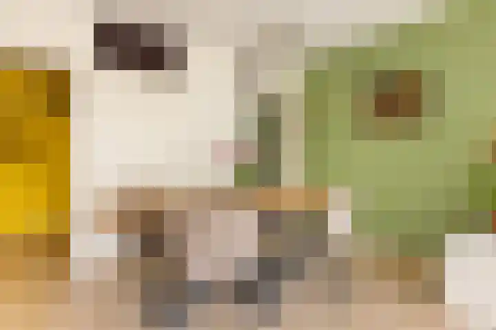 Het Hoogt 191 Amsterdam thumbnail 11