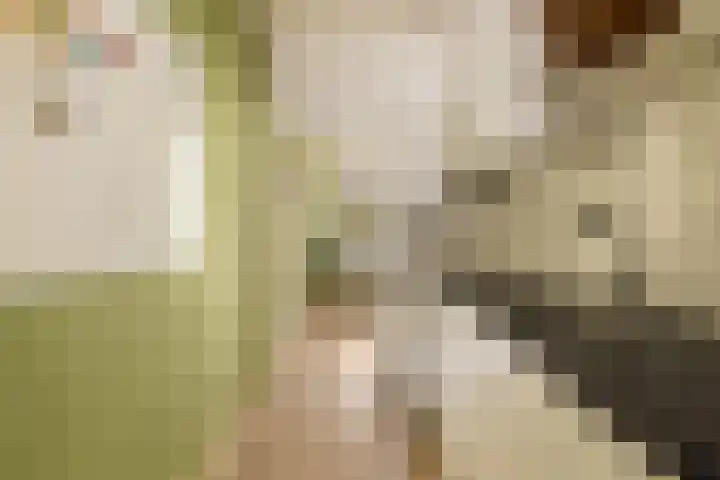 Het Hoogt 191 Amsterdam thumbnail 12