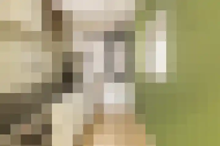 Het Hoogt 191 Amsterdam thumbnail 13