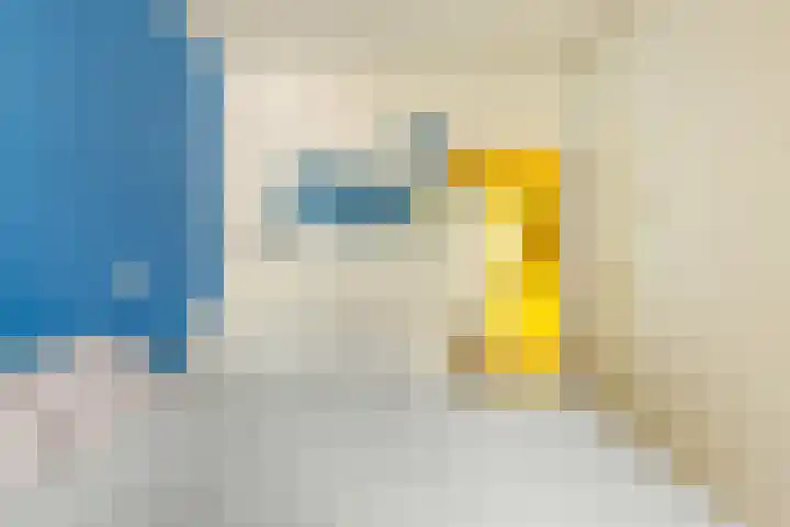 Het Hoogt 191 Amsterdam thumbnail 17