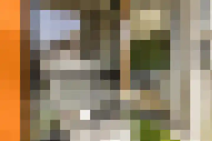 Het Hoogt 191 Amsterdam thumbnail 25