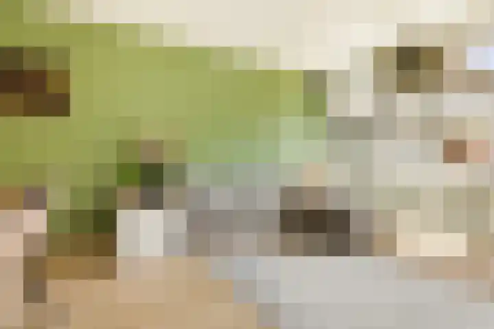 Het Hoogt 191 Amsterdam thumbnail 6