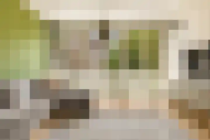 Het Hoogt 191 Amsterdam thumbnail 7