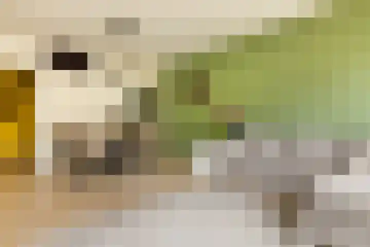 Het Hoogt 191 Amsterdam thumbnail 9