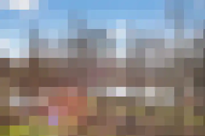 Het Hoogt 62 Amsterdam thumbnail 16