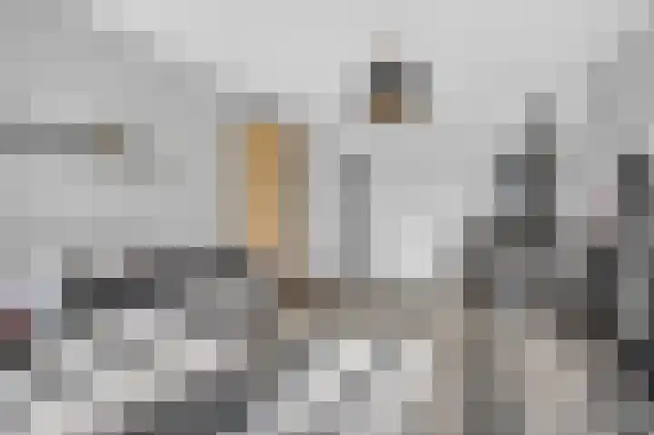 Het Hoogt 62 Amsterdam thumbnail 6