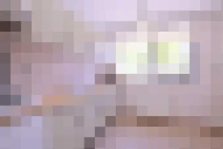 Het Hooiland 11 Schalkhaar thumbnail 10