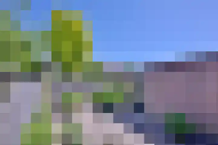 Het Hooiland 11 Schalkhaar thumbnail 13