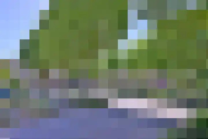 Het Hooiland 11 Schalkhaar thumbnail 26