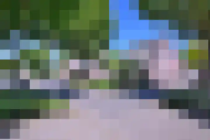 Het Hooiland 11 Schalkhaar thumbnail 32