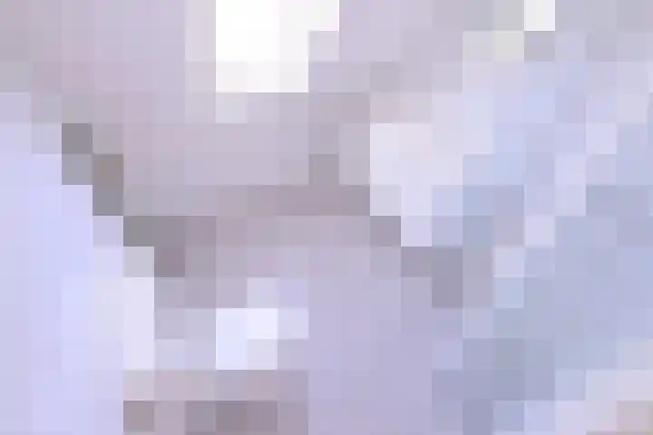 Het Hooiland 11 Schalkhaar thumbnail 4