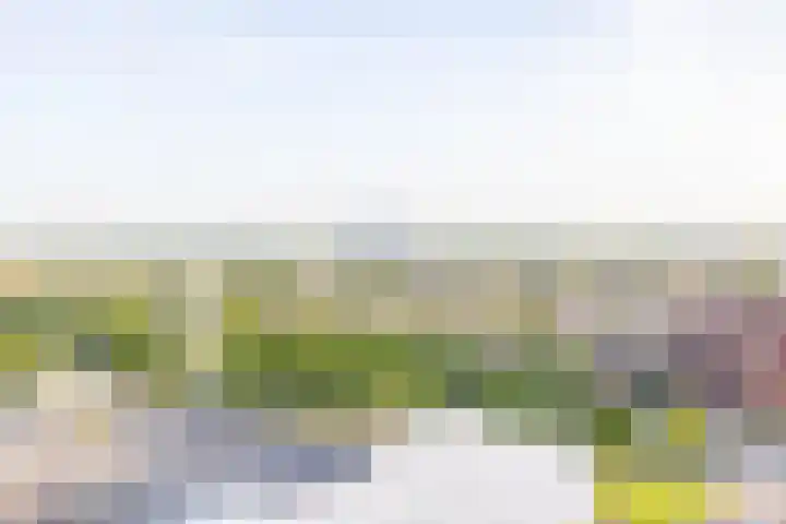 Het Hout 202 Groningen thumbnail 11