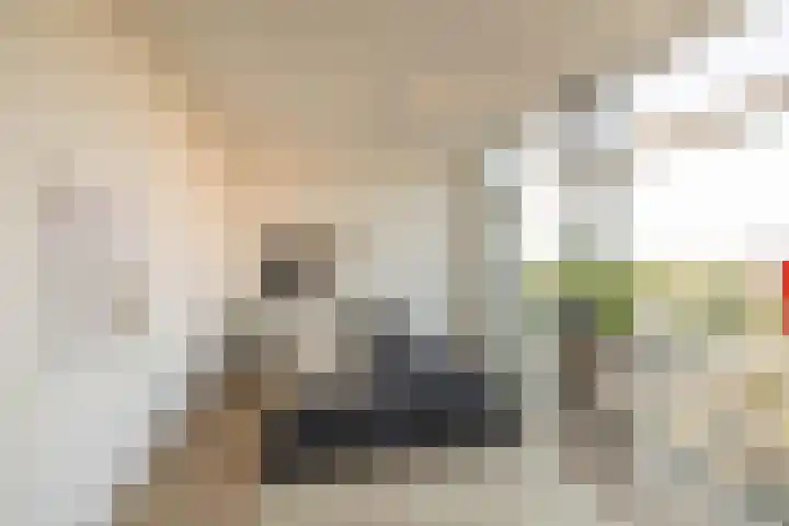 Het Hout 202 Groningen thumbnail 19