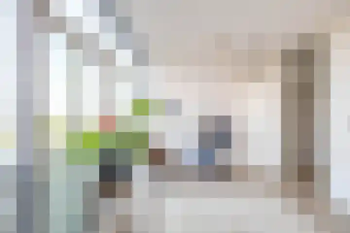 Het Hout 202 Groningen thumbnail 21