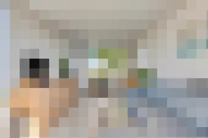 Het Hout 202 Groningen thumbnail 24