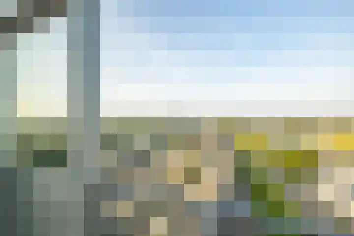 Het Hout 202 Groningen thumbnail 26
