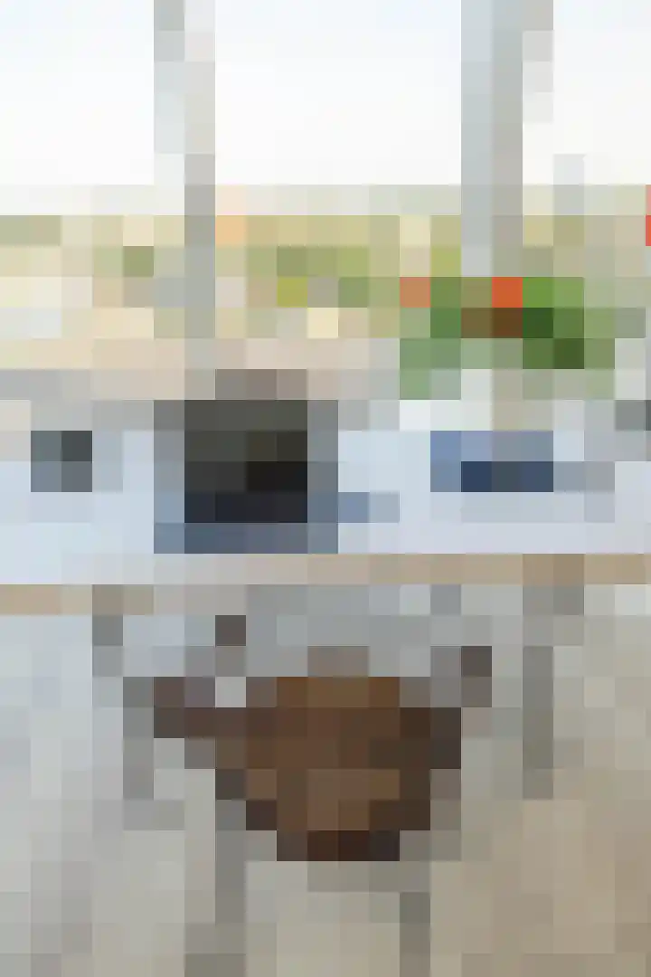 Het Hout 202 Groningen thumbnail 30