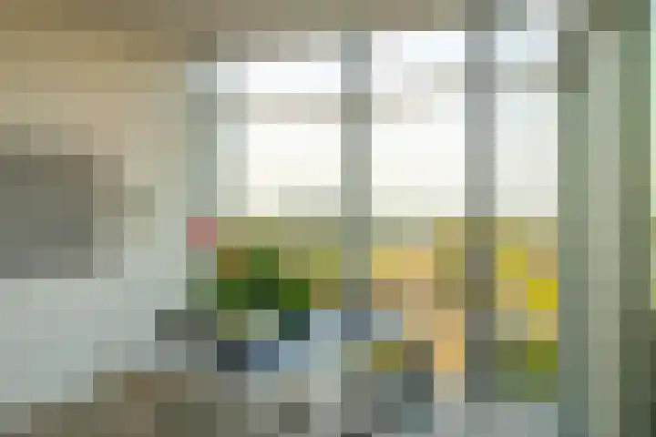 Het Hout 202 Groningen thumbnail 32