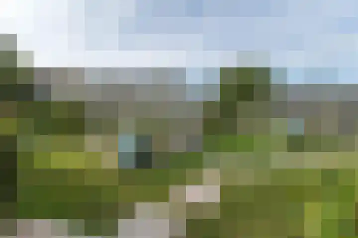 Het Hout 202 Groningen thumbnail 40