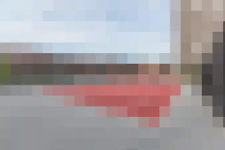 Het Hout 202 Groningen thumbnail 41