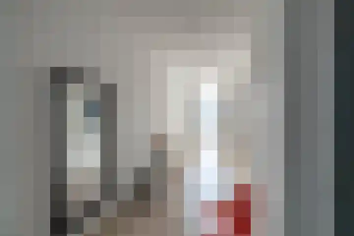 Het Hout 202 Groningen thumbnail 5
