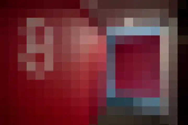 Het Hout 31 Groningen thumbnail 11