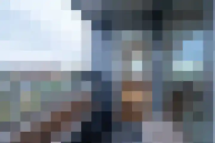 Het Hout 31 Groningen thumbnail 20