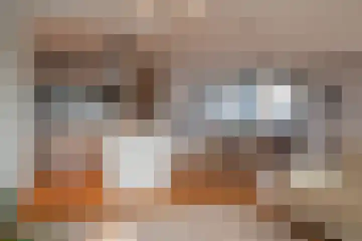 Het Hout 31 Groningen thumbnail 21