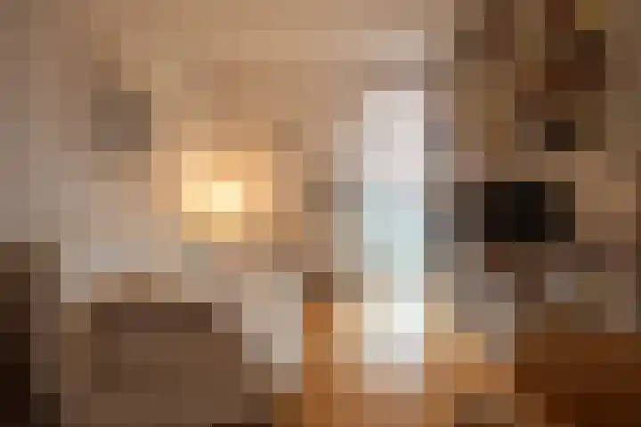 Het Hout 31 Groningen thumbnail 30