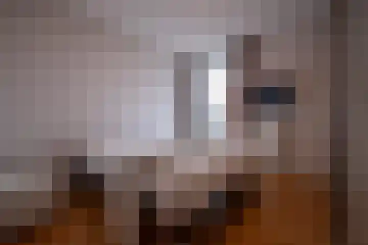 Het Hout 31 Groningen thumbnail 31