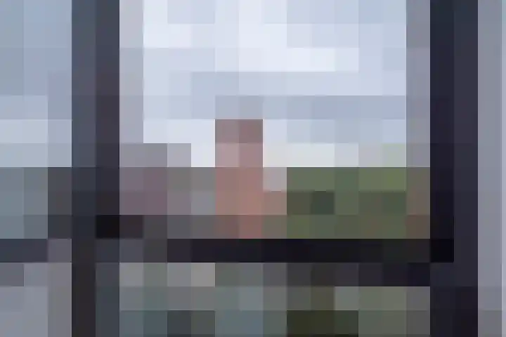 Het Hout 31 Groningen thumbnail 32