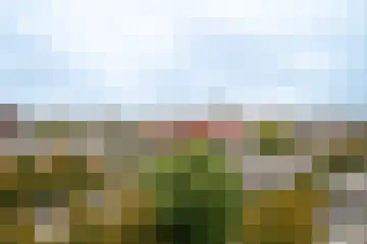 Het Hout 31 Groningen thumbnail 35
