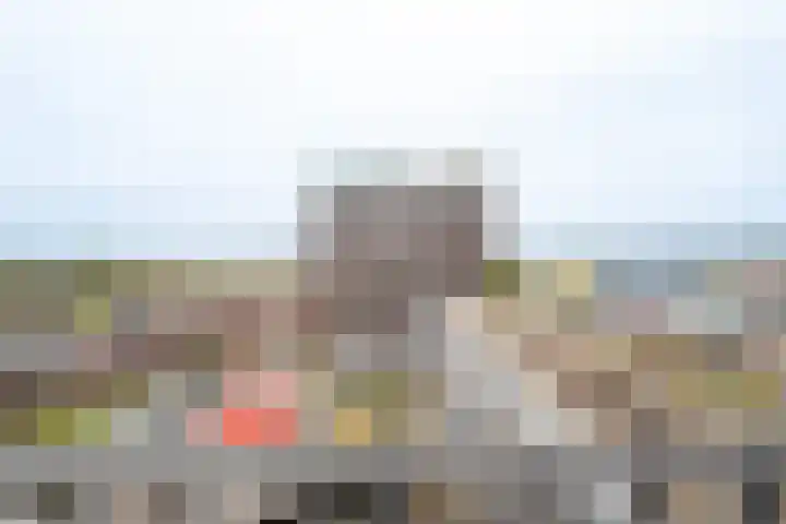 Het Hout 31 Groningen thumbnail 37
