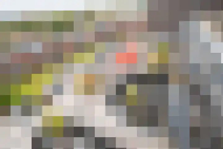 Het Hout 31 Groningen thumbnail 38