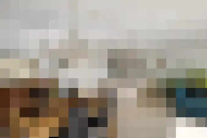 Het Hout 43 Groningen thumbnail 17
