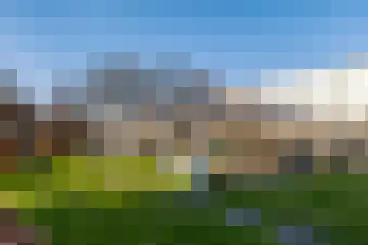Het Hout 43 Groningen thumbnail 39
