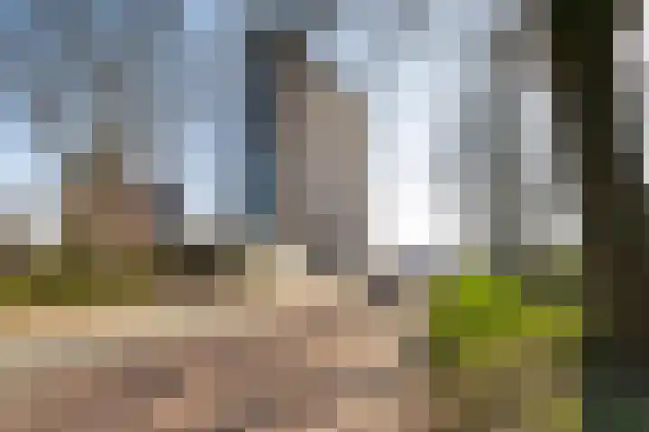 Het Hout 43 Groningen thumbnail 7
