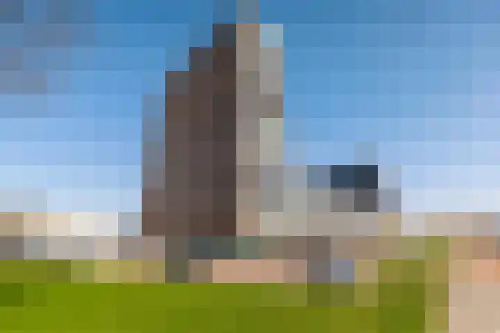 Het Hout 43 Groningen thumbnail 8