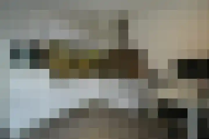 Het Hout 95 Groningen thumbnail 10