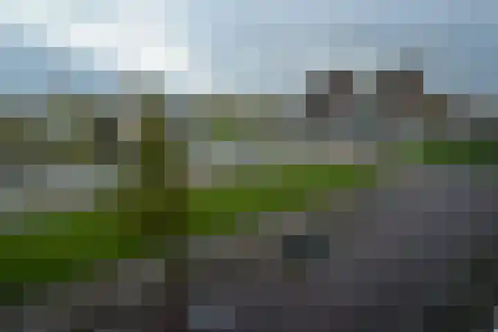 Het Hout 95 Groningen thumbnail 21