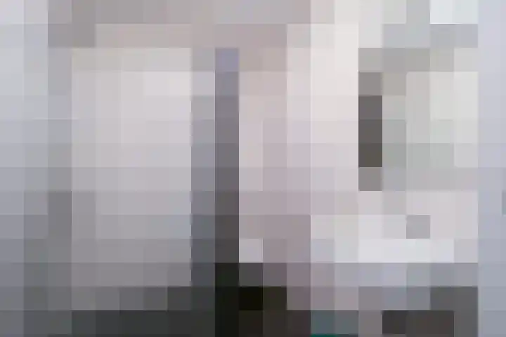 Het Hout 95 Groningen thumbnail 22