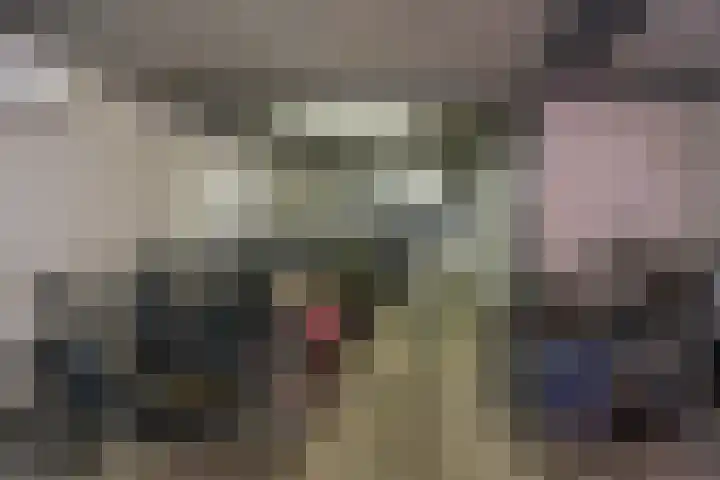 Het Hout 95 Groningen thumbnail 27