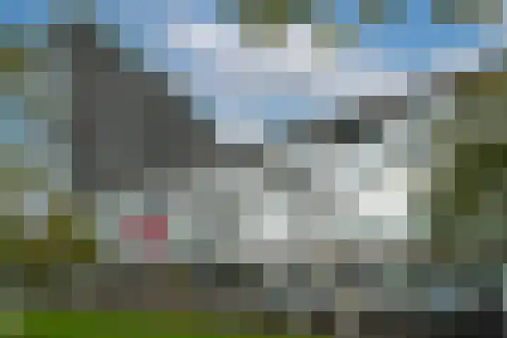 Het Hout 95 Groningen thumbnail 32