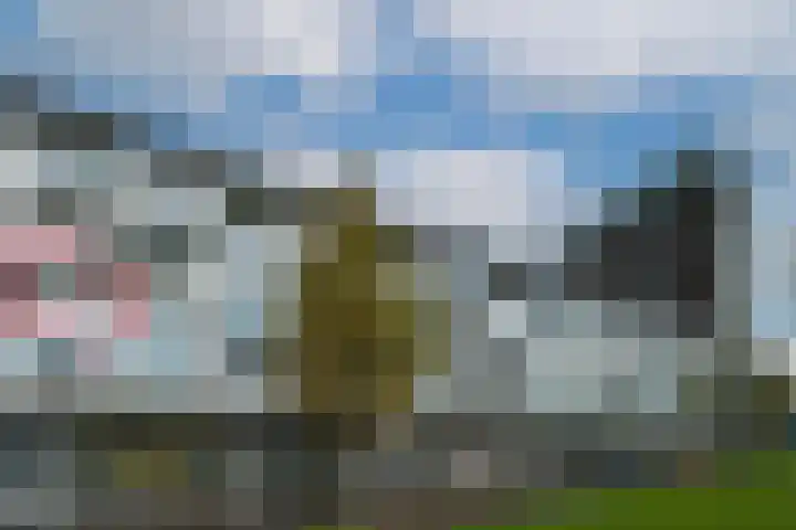 Het Hout 95 Groningen thumbnail 33