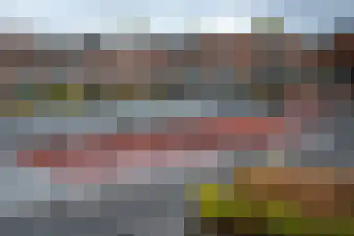 Het Hout 95 Groningen thumbnail 4