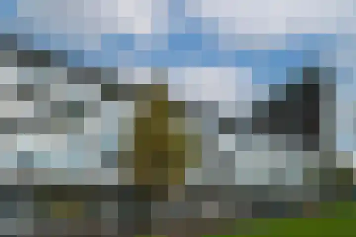 Het Hout 95 Groningen thumbnail 5