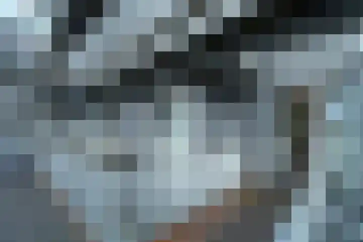 Het Hout 95 Groningen thumbnail 7