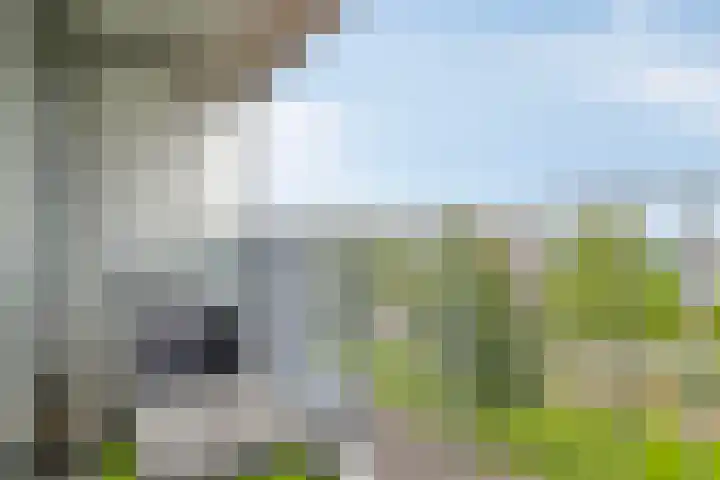 Het Hout 99 Groningen thumbnail 15