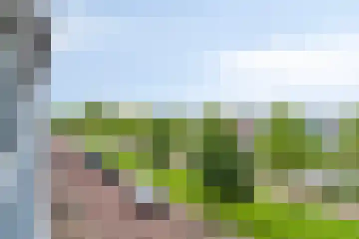 Het Hout 99 Groningen thumbnail 16